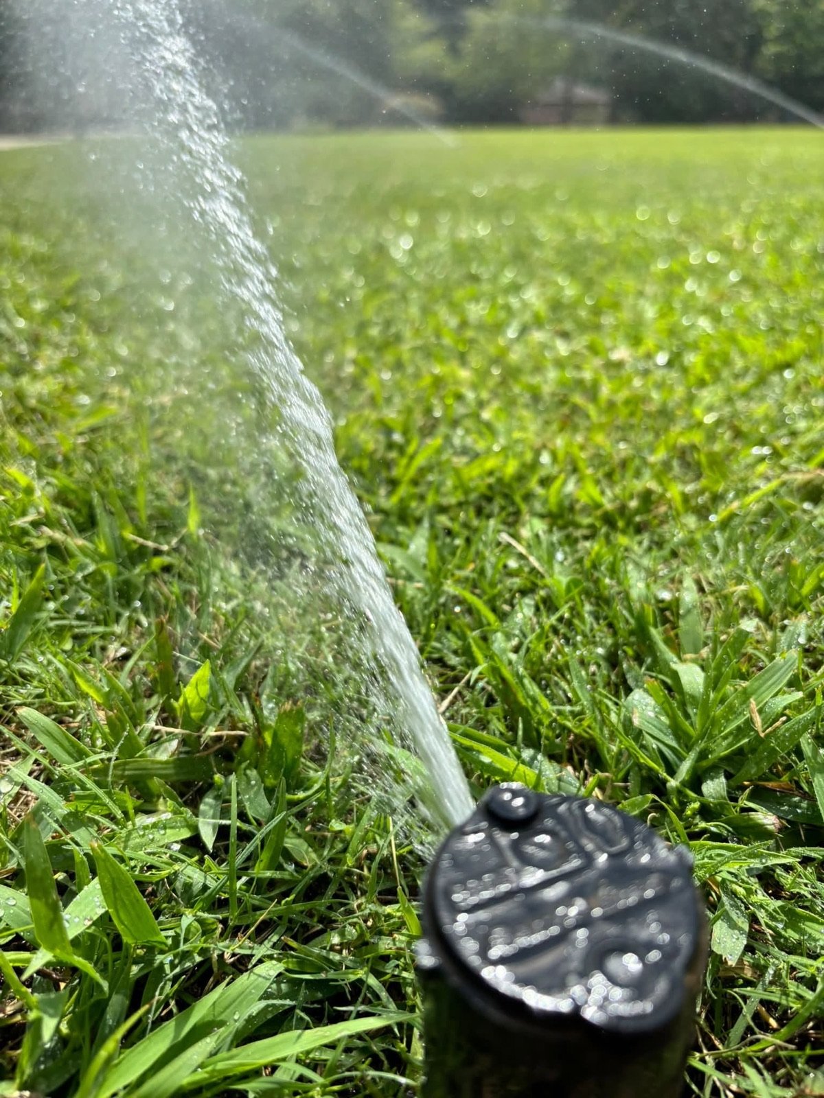 Close-up of a rotor sprinkler head spraying water across a green lawn